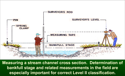 Measuring a stream channel cross section. Determination of bankfull stage and related measurements in the field are especially important for correct Level II classification.