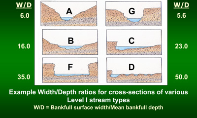 graphic illustrating example width/depth ratios for cross-sections of various level I stream types