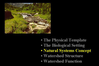 Natural Systems Concept