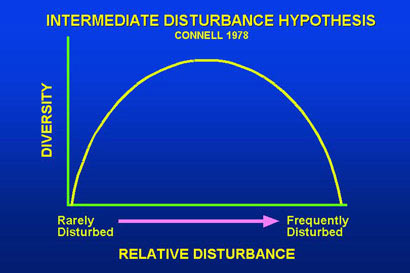 characteristics of intermediate disturbance hypothesis