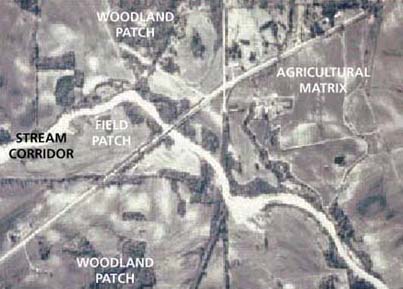 ariel photo showing land-use patterns