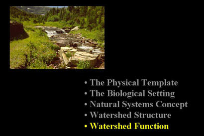 Watershed Function